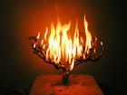 Picture for song 'Burnin'' by artist 'Audiostarz Ent'