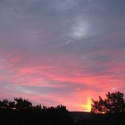 Picture for song 'Universe' by artist 'Bass Extractor'