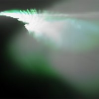 Picture for song '13.in the light' by artist 'BGN'