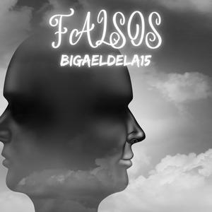 Picture for song 'Bigaeldela15 - Falsos' by artist 'Bigaeldela15'