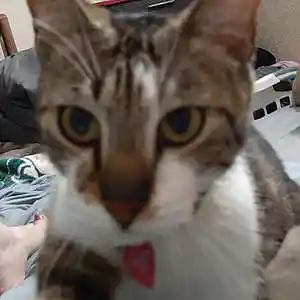 Picture for song 'Cecilialove - up yours 2' by artist 'Cecilialove'