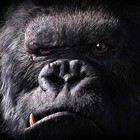 Picture for song 'Annihilation feat. Nicky Greed & Brad Rawbinson' by artist 'CHUCK DIESEL'