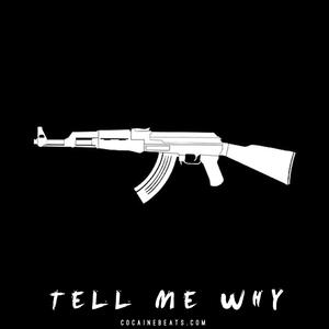 Picture for song 'Tell Me Why' by artist 'Cocaine Beats'