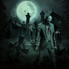 Picture for song 'Graveyard Rock (collab Renee Anderson / DHW)' by artist 'DHW'
