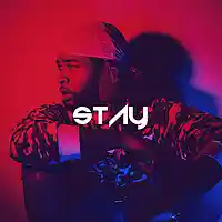 Picture for song 'Stay (BUY 1 GET 2 FREE)' by artist 'DJ Kronic Beats'