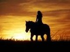 Picture for song 'RIDING SUNSET INTO COUNTRY WESTERN LORE' by artist 'Dr. Bob's Jazz - Benefit Boppin' Quartet - JBBQ'