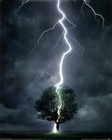 Picture for song 'Raw Energy' by artist 'Flying Penguin'