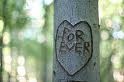 Picture for song 'The Word Forever' by artist 'gabe stenziano'