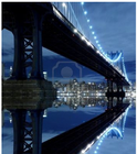 Picture for song 'Going Back to Brooklyn' by artist 'Gary Powers'