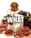 Picture for song 'WHAT' by artist 'GET MONEY RECORDS dfw'