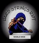 Picture for song 'Ciacona-Hardway Arrangement.mp3' by artist 'Hard Strings Riot'