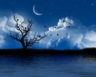 Picture for song 'hotflybeatz that night (free dl)' by artist 'hotflybeatz'