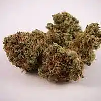 Picture for song 'kush planet' by artist 'ItsAKingBeat'