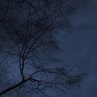 Picture for song 'Shabahengam' by artist 'Jazmahalis'