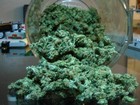 Picture for song 'Drake - Tyga & Lil Wayne Would Chew THIS UP!!!!' by artist 'JoelVenomBeats'