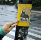 Picture for song 'Ariadne' by artist 'Kerry Lannan Charge'