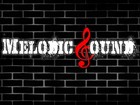 Picture for song 'Lyrical Asylum.mp3' by artist 'Melodic Sound Productions'