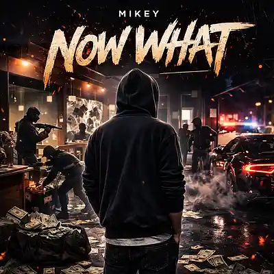 Picture for song 'Now What?' by artist 'MiKeY-Chi'