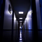 Picture for song 'Ambient Eef Rex' by artist 'Miller and the Noody Boots'