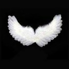 Picture for song 'Own Pair of Wings' by artist 'Morgan Wilk'
