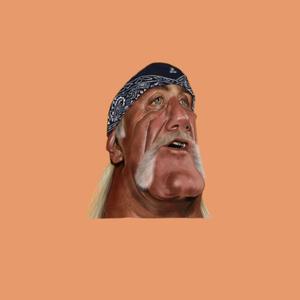 Picture for song 'WrestleMania' by artist 'Nick Vanelli'