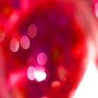 Picture for song 'astral projection' by artist 'NOISETTES'