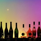 Picture for song 'PALI - THROWIN BOTTLES' by artist 'PALESTINE'
