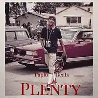 Picture for song 'Plenty (FREE DL)' by artist 'PAPLO'