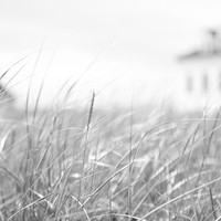 Picture for song 'All Natural Nantucket: Let The Poets Poet' by artist 'paul gorman and the hypnotist collectors'