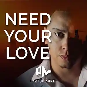 Picture for song 'Need Your Love' by artist 'Paztuh Mike'