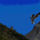 Picture for song 'Et l'oiseau franchit la montagne' by artist 'Philippe Rose'
