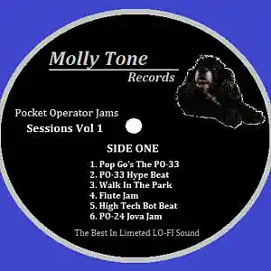 Picture for song '1st PO 33 KO Beat' by artist 'Pocket Operator Radio'