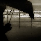 Picture for song 'MY PAIN' by artist 'Que Beats'