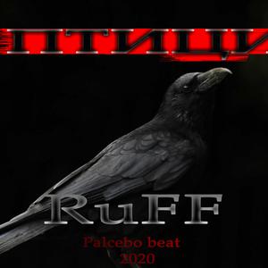 Picture for song 'RuFF ?????' by artist 'RuFF HIGH Flow inc'
