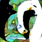 Picture for song 'Internal Decay' by artist 'Severe Aesthetic Deficiencies'