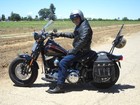 Picture for song 'Indestructible' by artist 'SHORT RIBS'