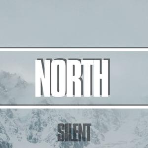 Picture for song 'North (Ethnic Drill Type Beat)' by artist 'Silent The Producer'