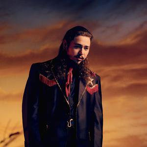 Picture for song 'Despedida' by artist 'Snegur'