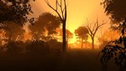 Picture for song 'Forest spirits' by artist 'Sotiris Gougousis (Synthscape)'