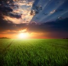 Picture for song 'wake up.mp3' by artist 'SPiVEY Sounds'