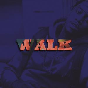 Picture for song 'WALK' by artist 'STARKMADETHIS'