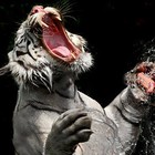 Picture for song 'Tiger styl&#101;' by artist 'The DJ Catastrophy'