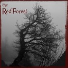 Picture for song 'Closure' by artist 'The Red Forest'