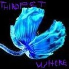 Picture for song 'To Night' by artist 'thirdpet'