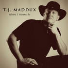 Picture for song 'You Said' by artist 'T J Maddux'