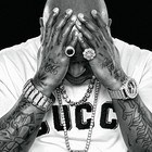 Picture for song '#1 HIT - Fly By Night (Free D/L)' by artist 'Tony Fadd'