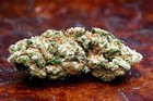 Picture for song 'WiKiD ENT Beats-Smoke Weed Everyday W_ Hook 2011' by artist 'WiKiD ENT Beats'