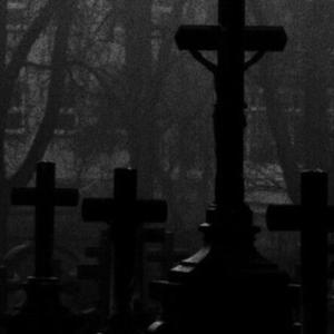 Picture for song 'ambient x experimental type beat - devil may cry' by artist 'WHYFEEL'