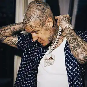 Picture for song 'Damaged Goods / Millyz Type Beat (2 For 1)' by artist 'Buckroll'