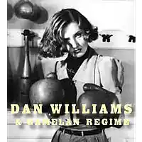 Picture for song 'Waiting for the Rainy Season ' by artist 'Dan Williams and Gamelan Regime'